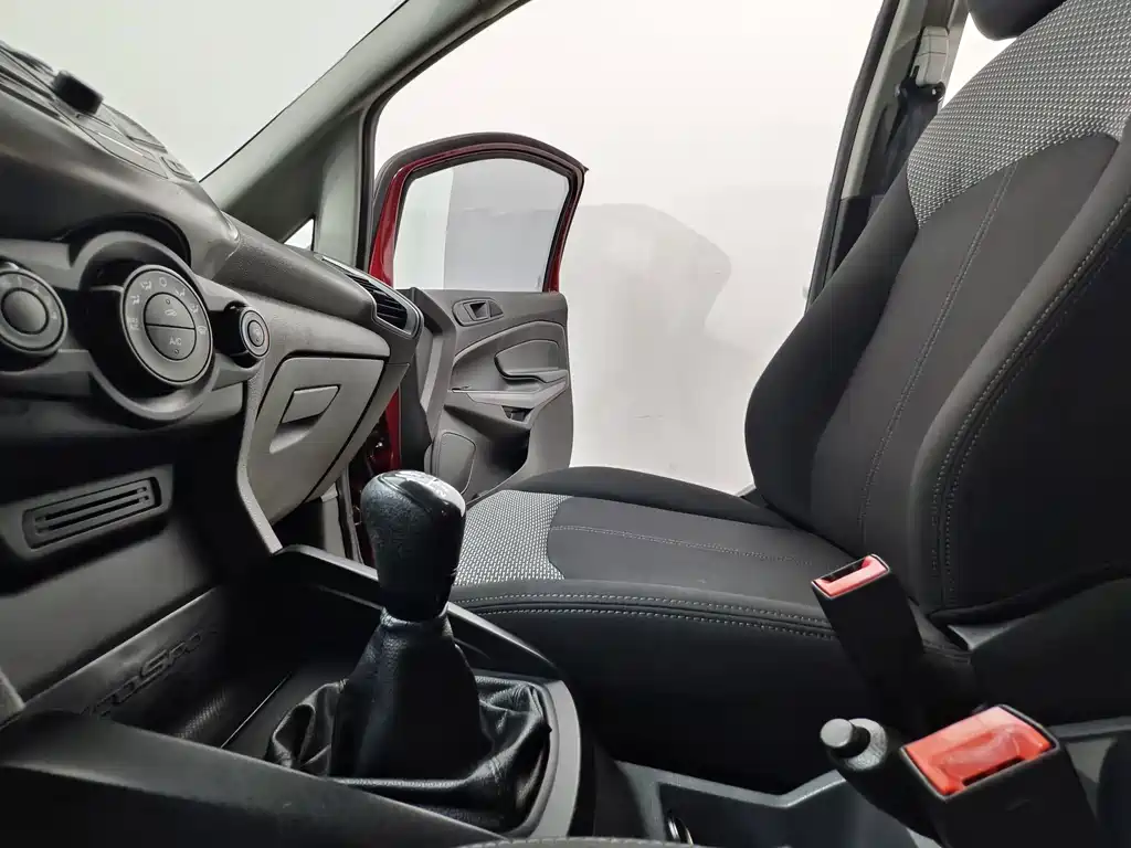 Ford Ecosport — миниатюра 11