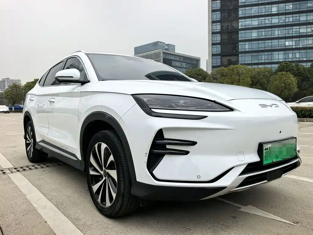 BYD SONGJIANG NEW ENERGY