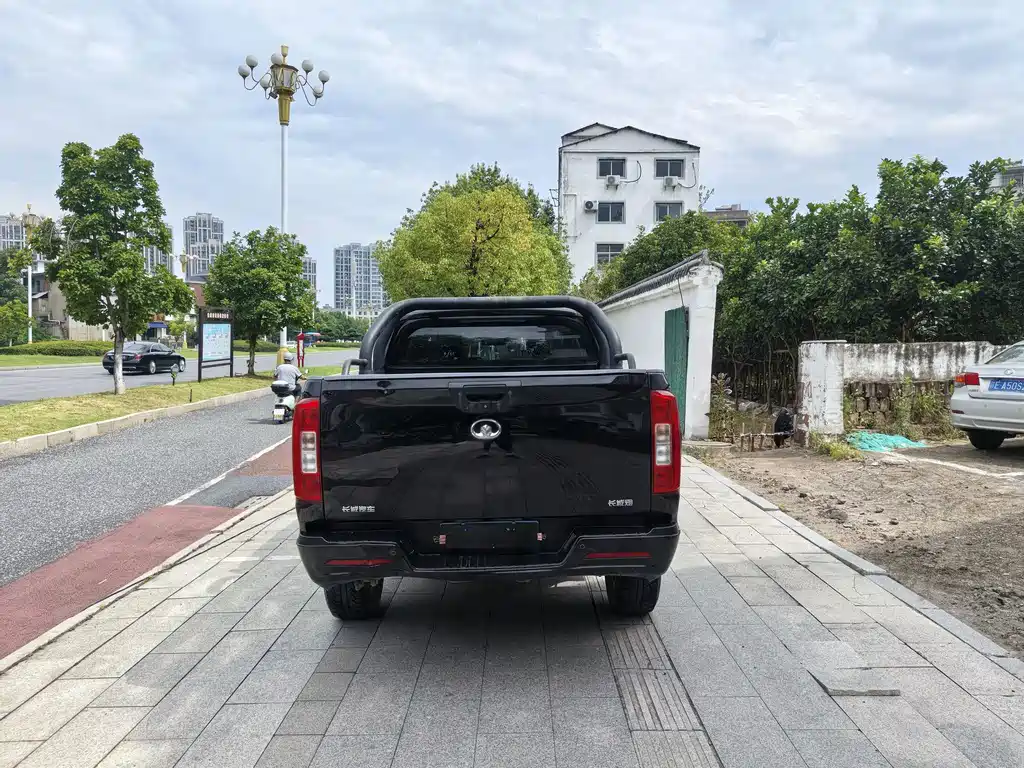Great Wall Pao — миниатюра 5