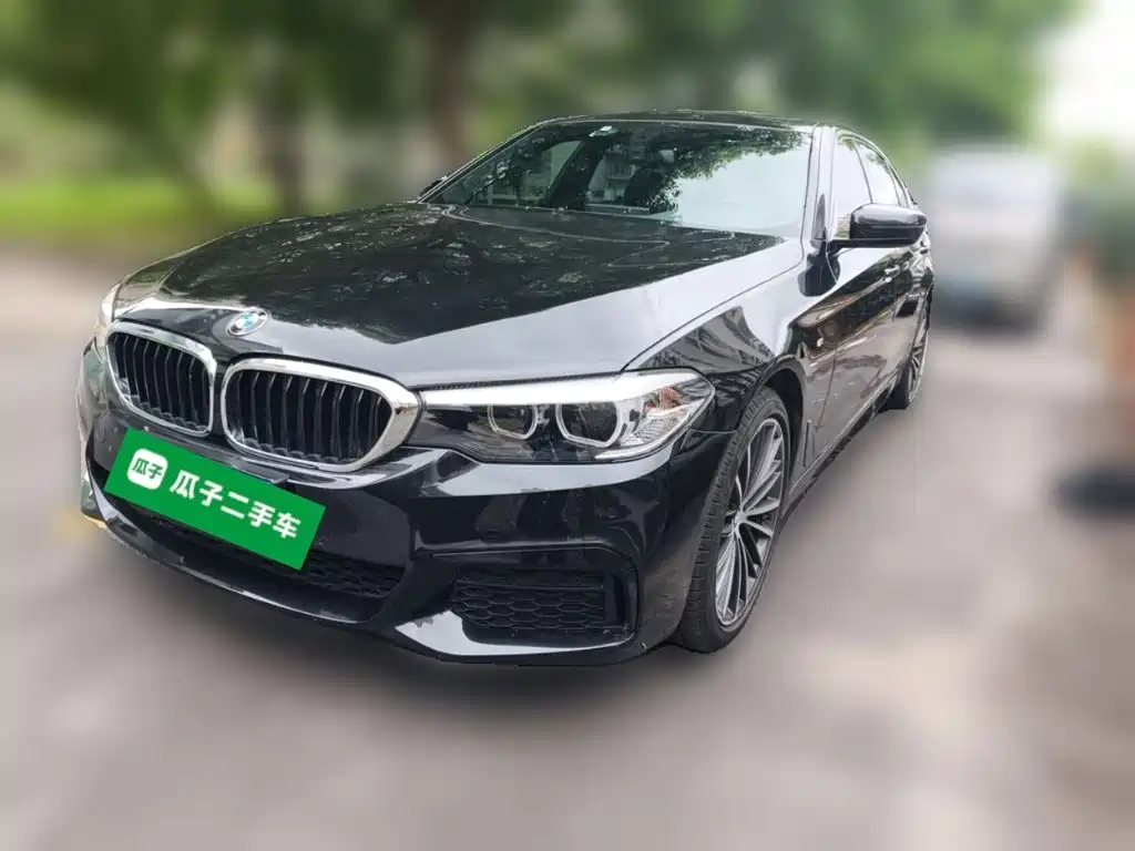 BMW 5 Series — миниатюра 2