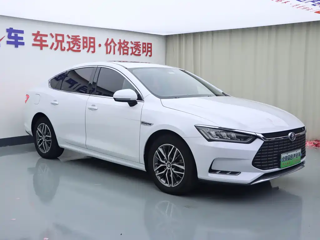 BYD Qin Pro NEV — миниатюра 2