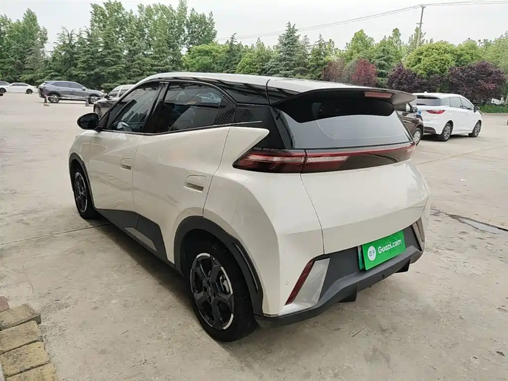 BYD Seagull 2023 Flying