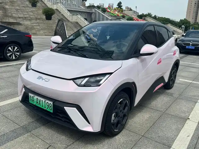 2024 BYD Seagull