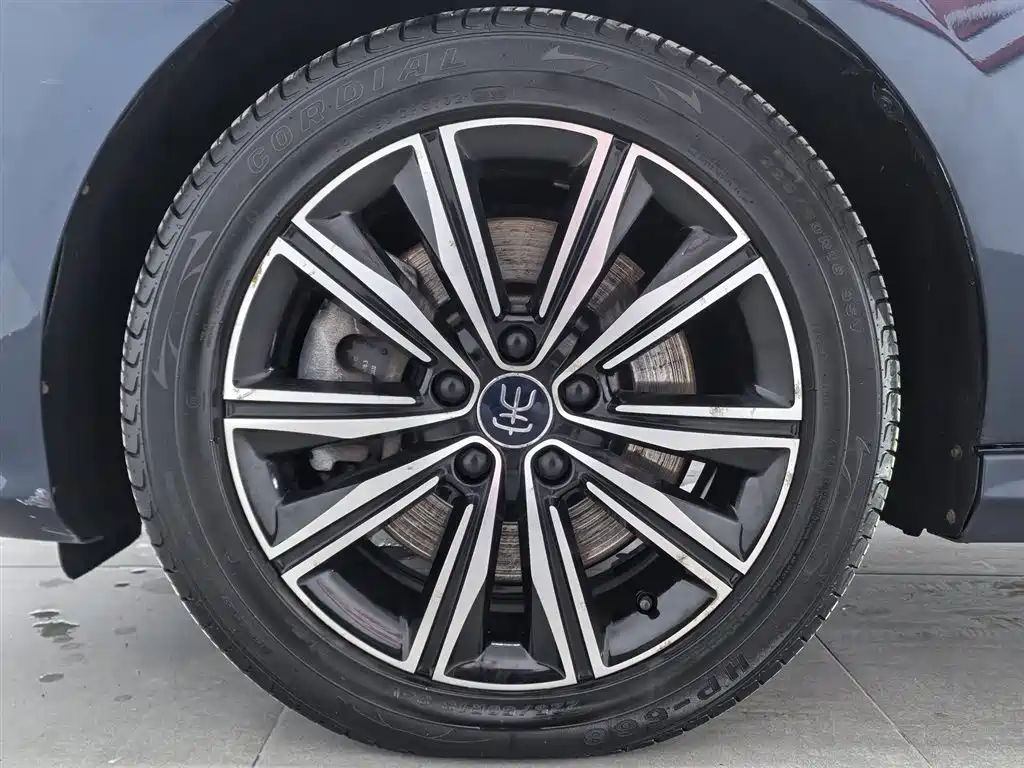 BYD SONGJIANG NEW ENERGY