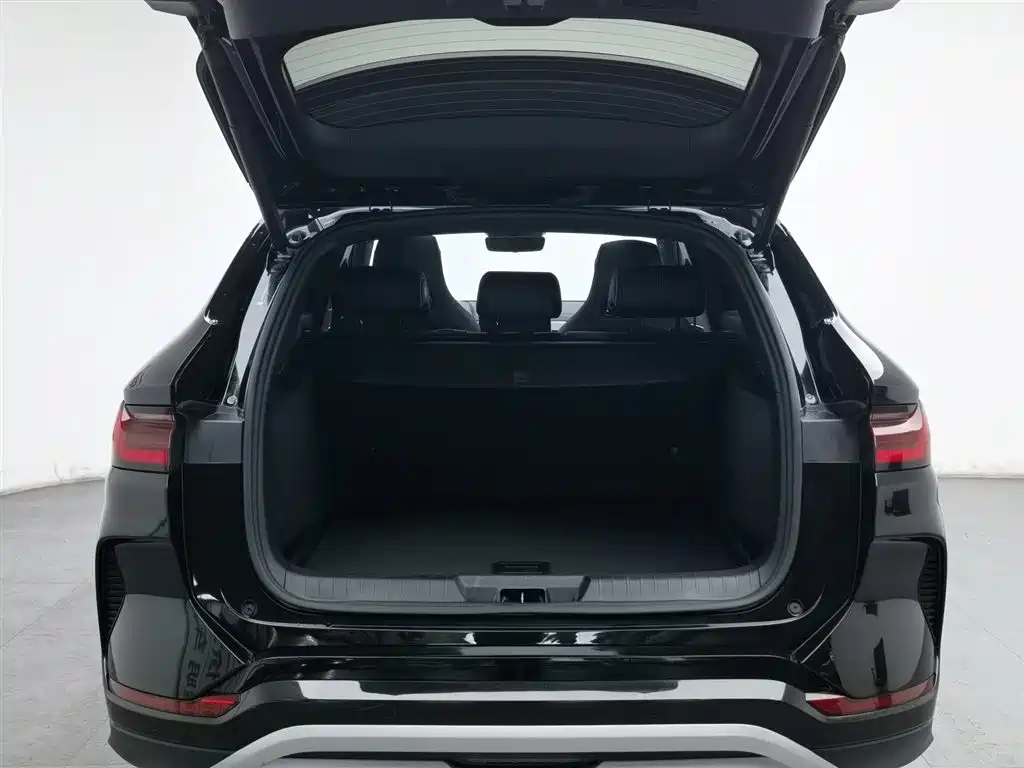 BYD SONGJIANG NEW ENERGY