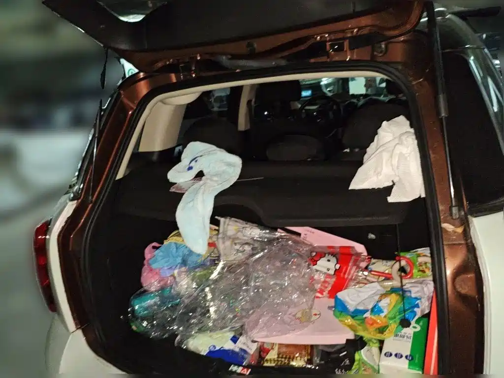 MINI Mini Countryman — миниатюра 10