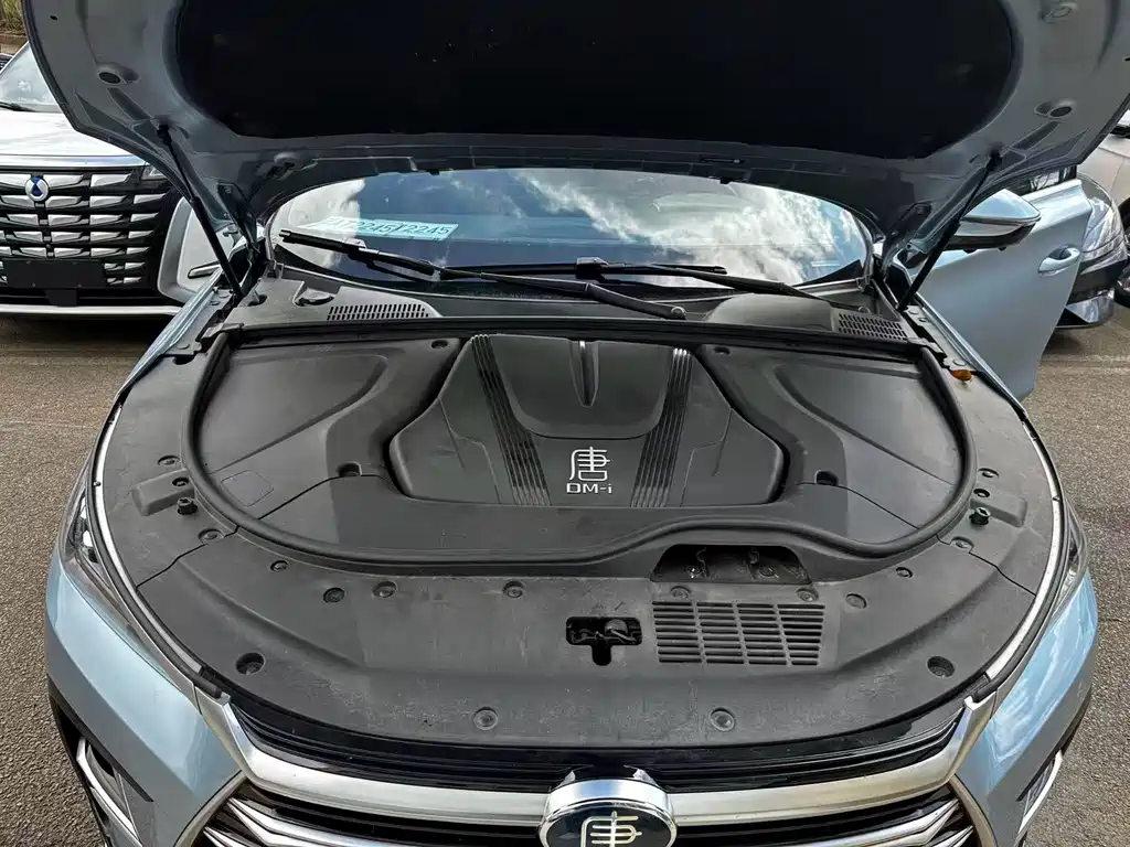 BYD Tang New Energy — миниатюра 2