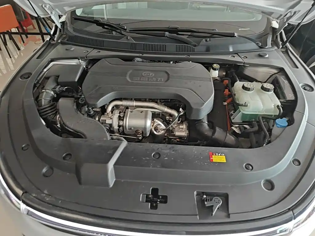 Baojun Xiangjing — миниатюра 20