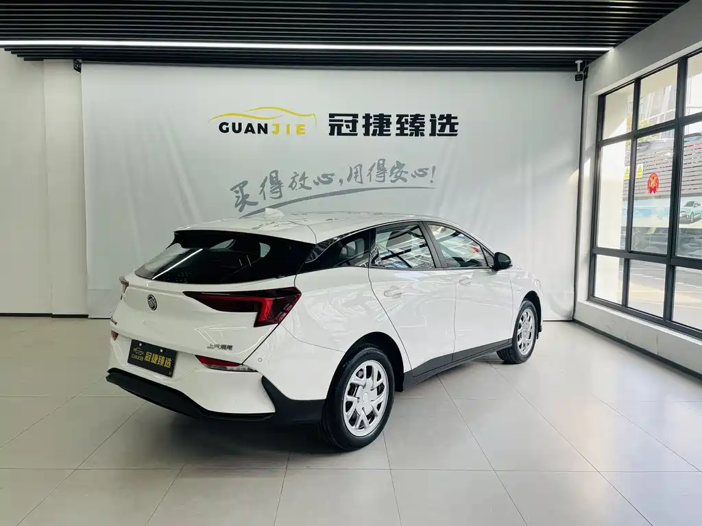 BUICK SLIGHTLY BLUE 6