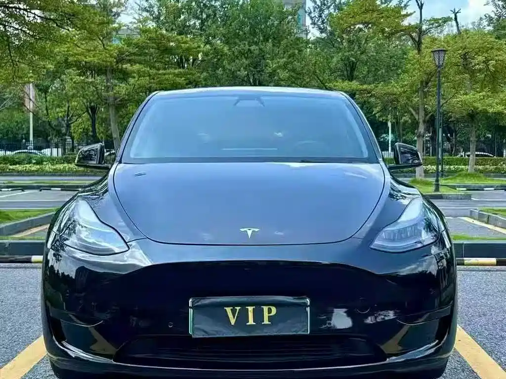 Tesla Model Y — миниатюра 2