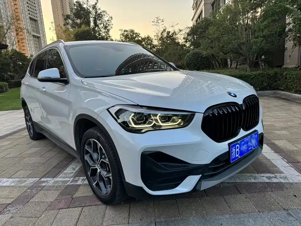 BMW X1 — миниатюра 2