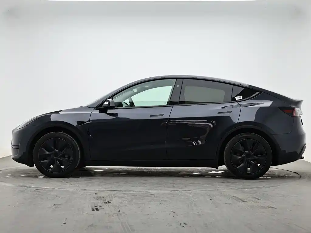 Tesla Model Y — миниатюра 6