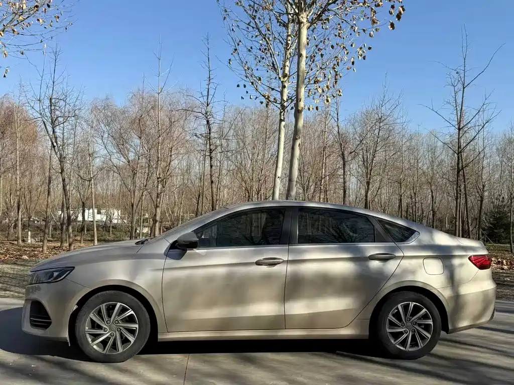 GEELY AUTOMOBILE BINRUI