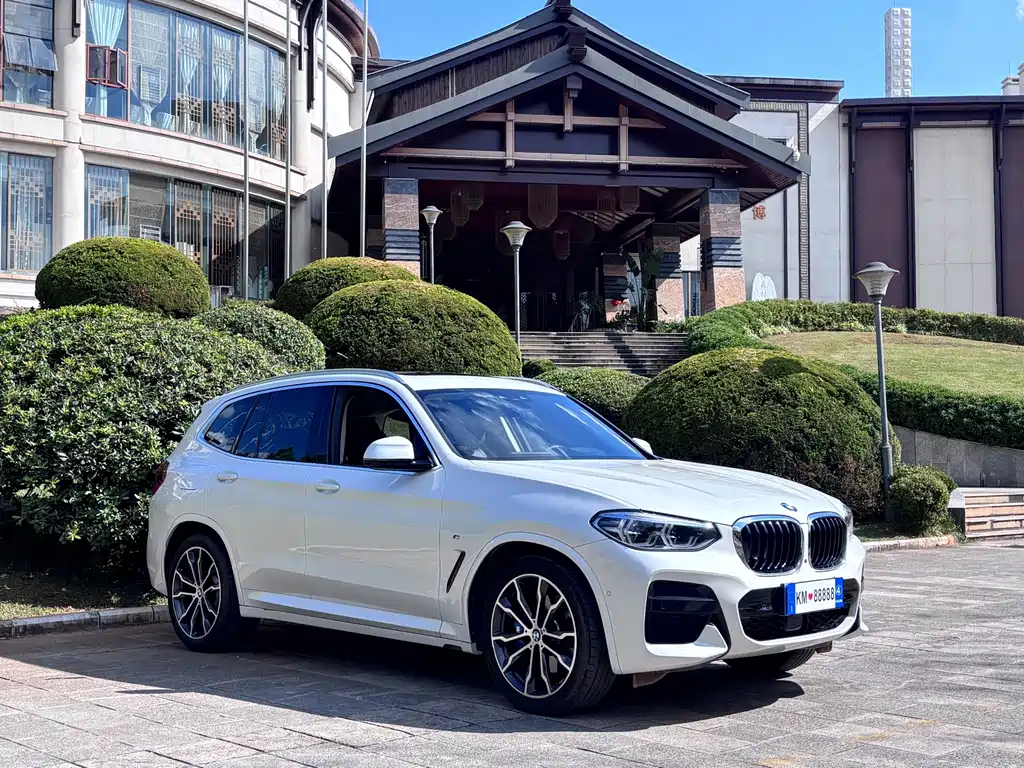 BMW X3 — миниатюра 3