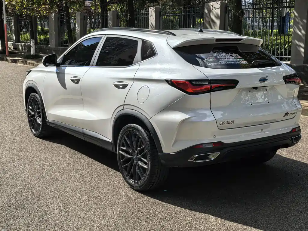 Oshan Oushang X5 — миниатюра 4