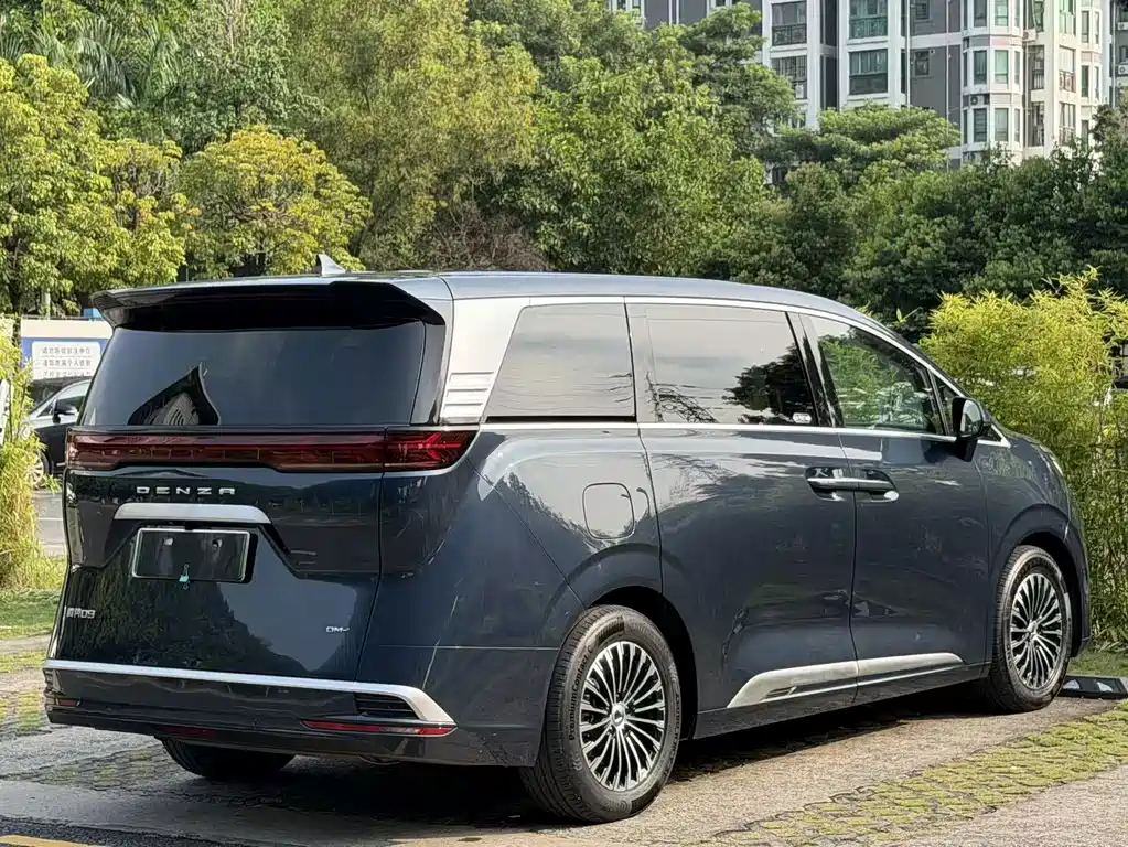 Denza Denza D9 — миниатюра 15