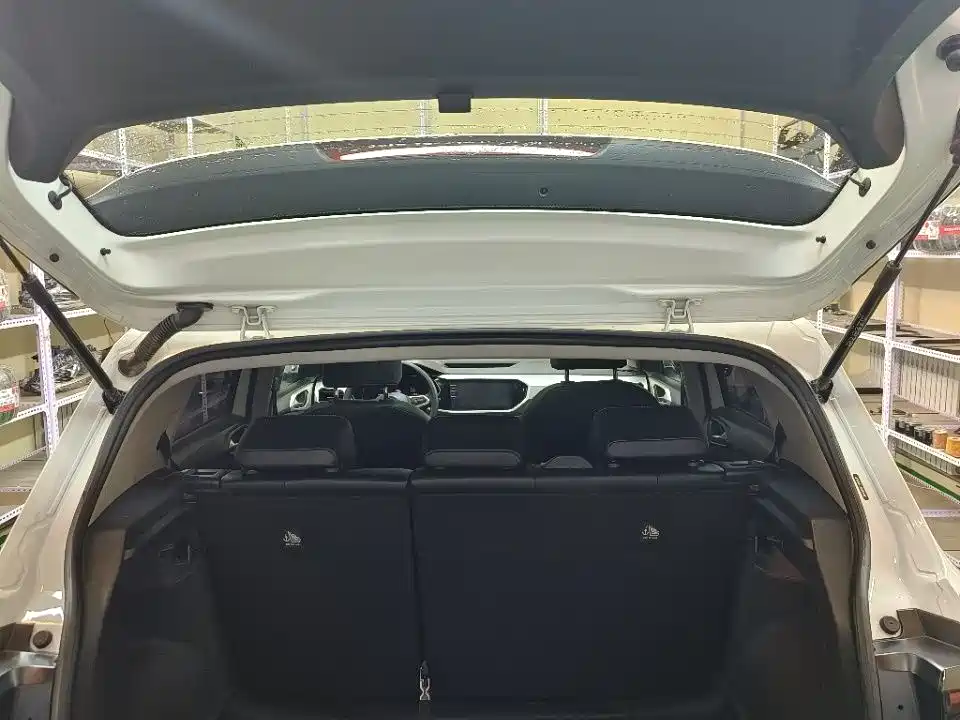 VOLKSWAGEN EXPLORING THE SHADOW