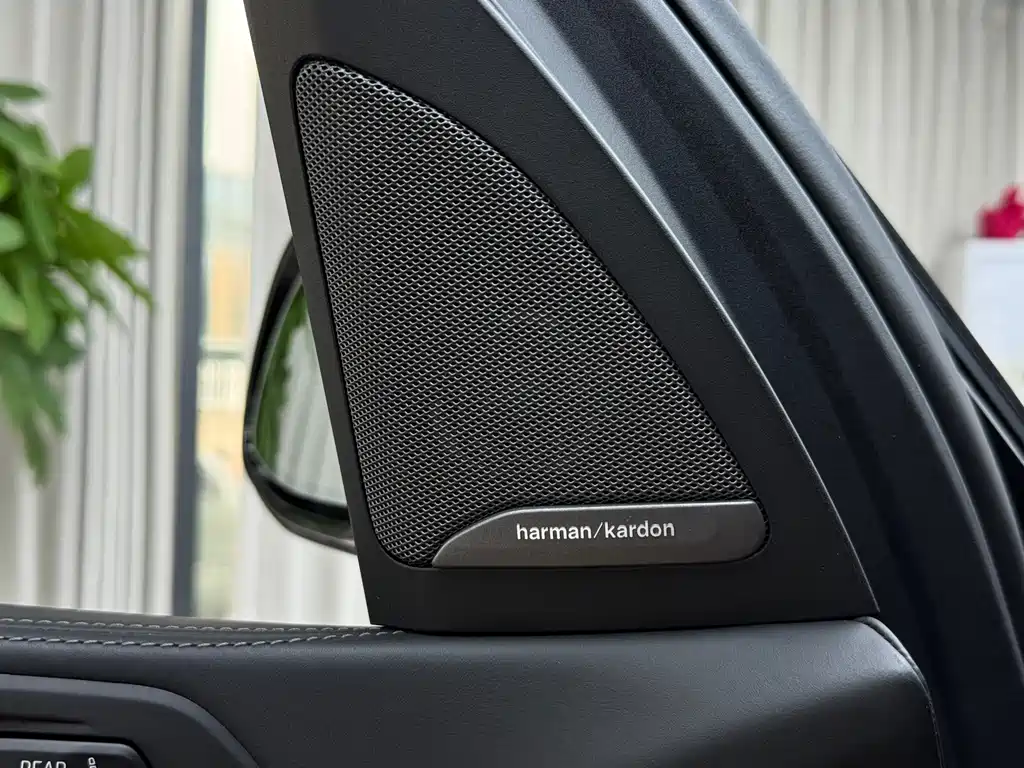BMW X7 — миниатюра 15