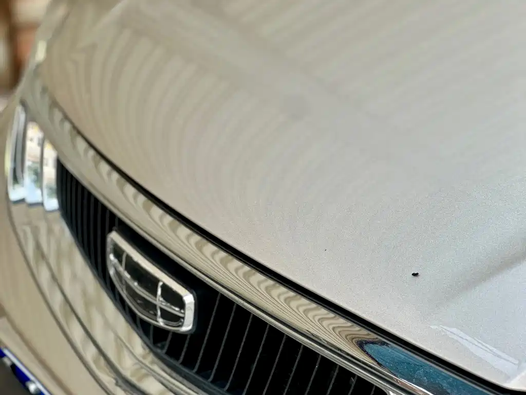 Geely Emgrand — миниатюра 19