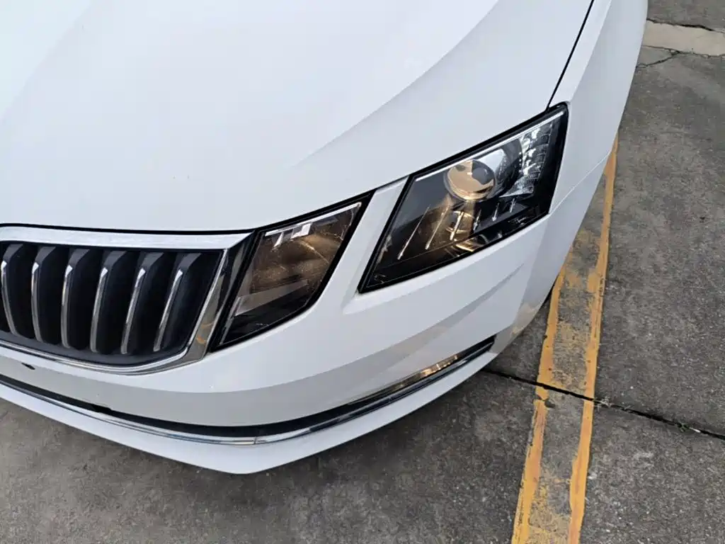 Skoda Octavia — миниатюра 24