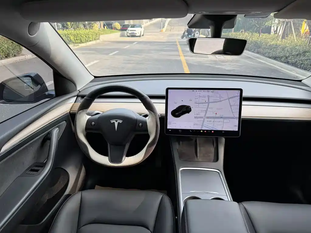 Tesla Model Y — миниатюра 9