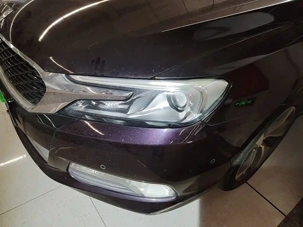 DS DS 5LS — миниатюра 24