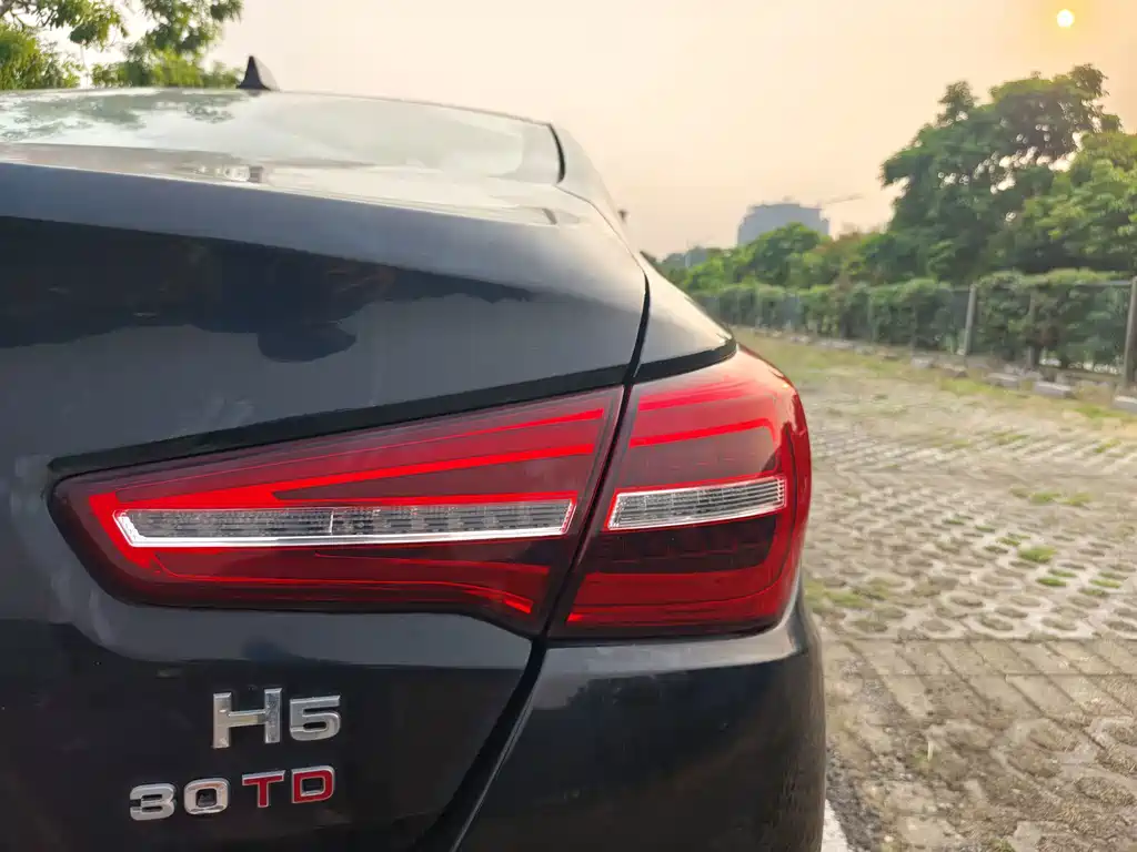 Hongqi Hongqi H5 — миниатюра 10