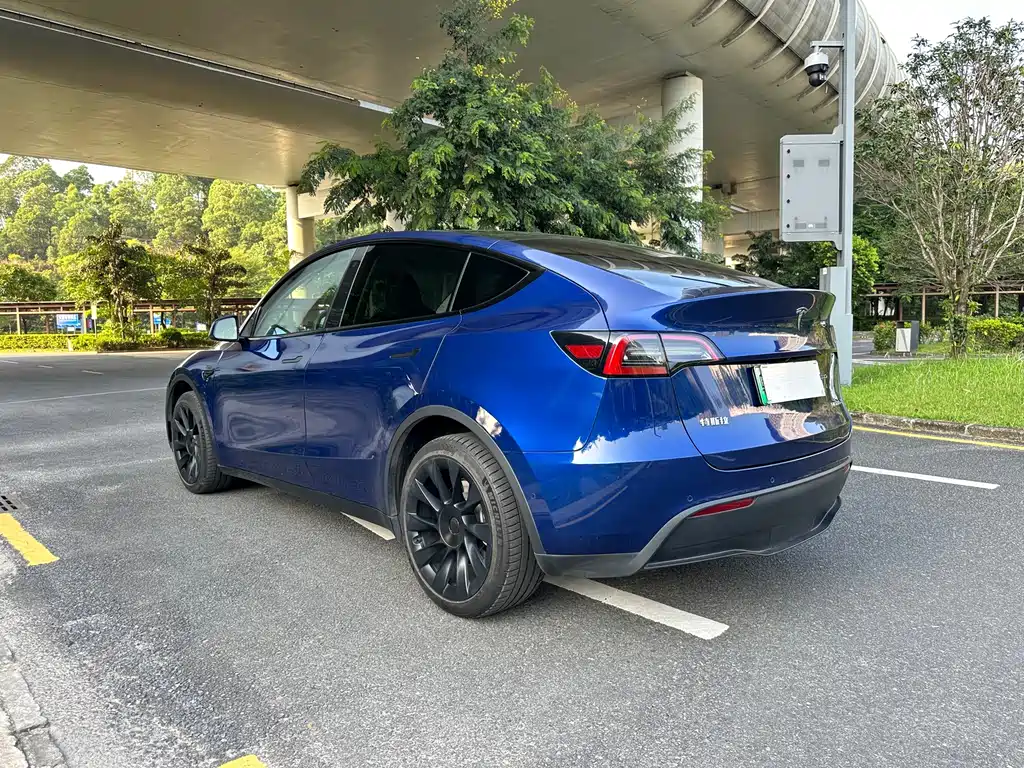 Tesla Model Y — миниатюра 4