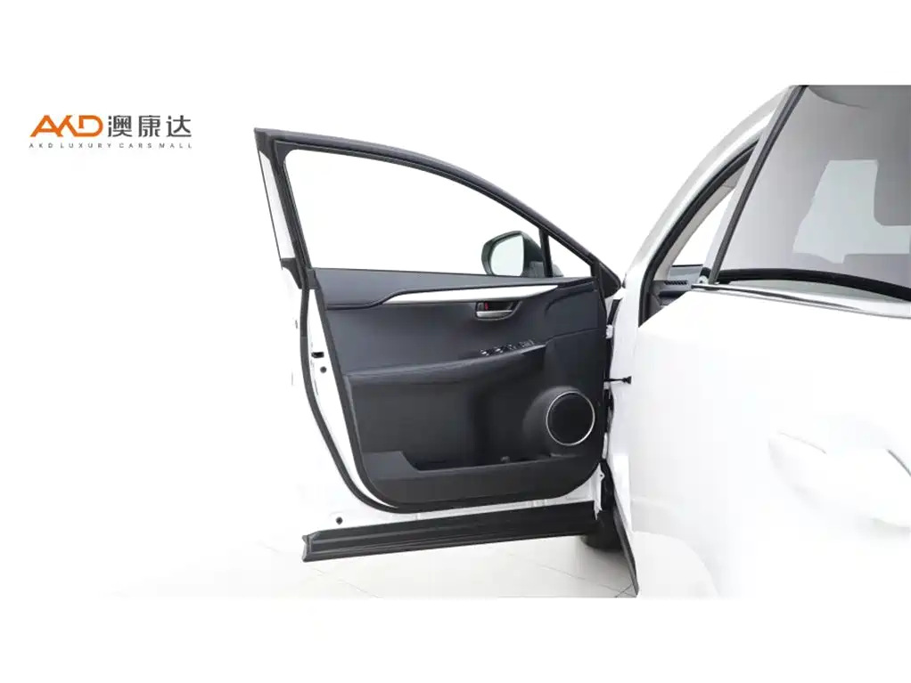 Lexus NX — миниатюра 10