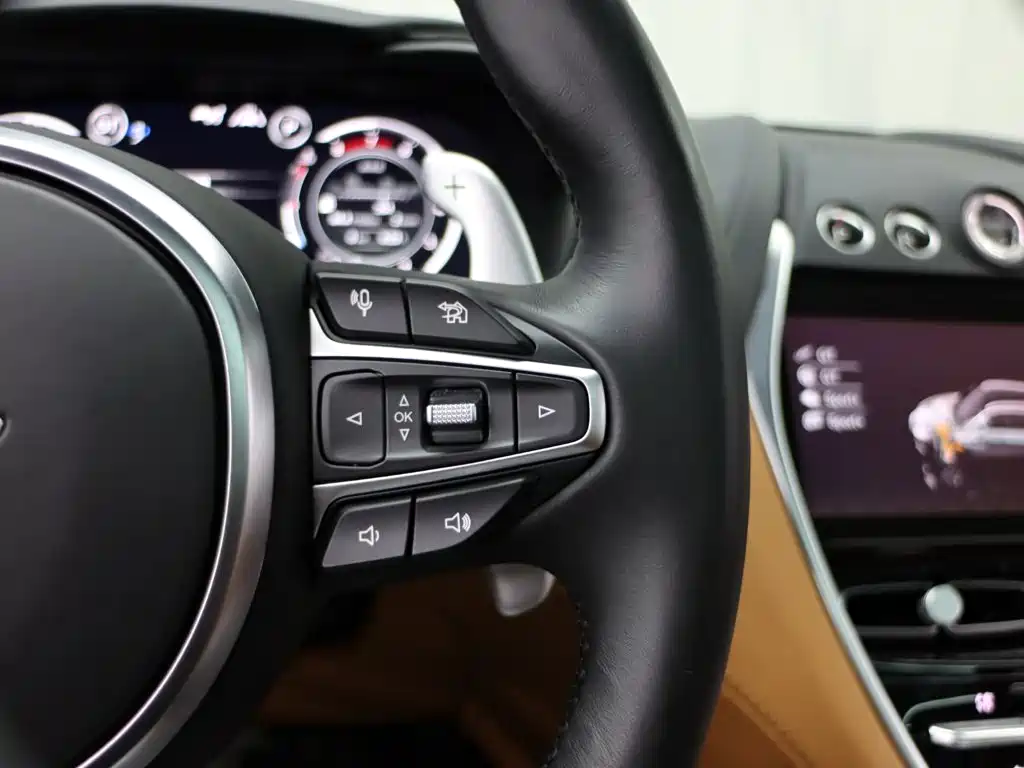 Aston Martin DBX — миниатюра 27