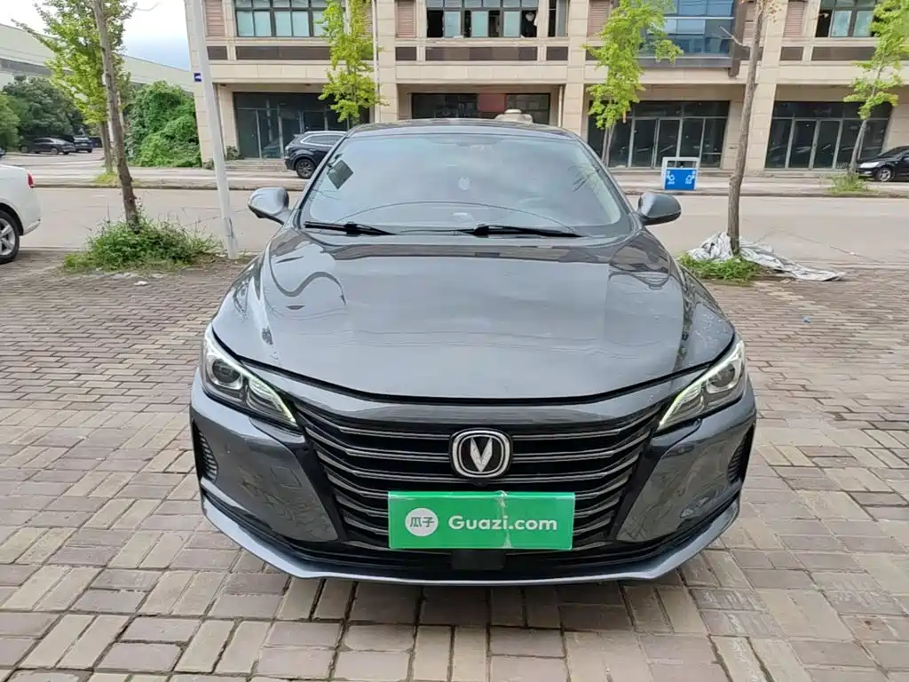 Changan Ruicheng CC — миниатюра 3