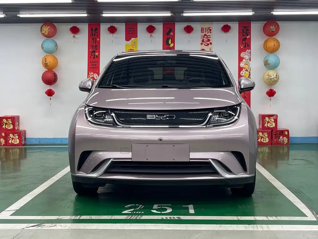 BYD Dolphin — миниатюра 2