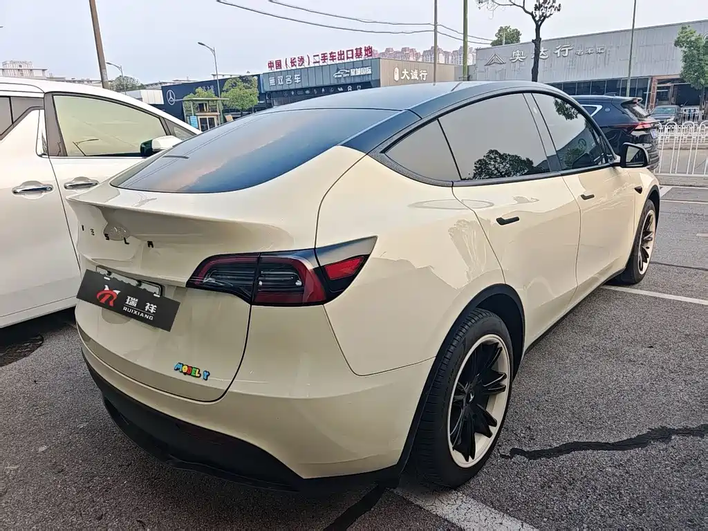 Tesla Model Y — миниатюра 8