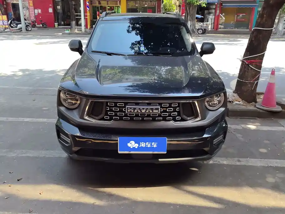 Haval Big Dog PLUS — миниатюра 2