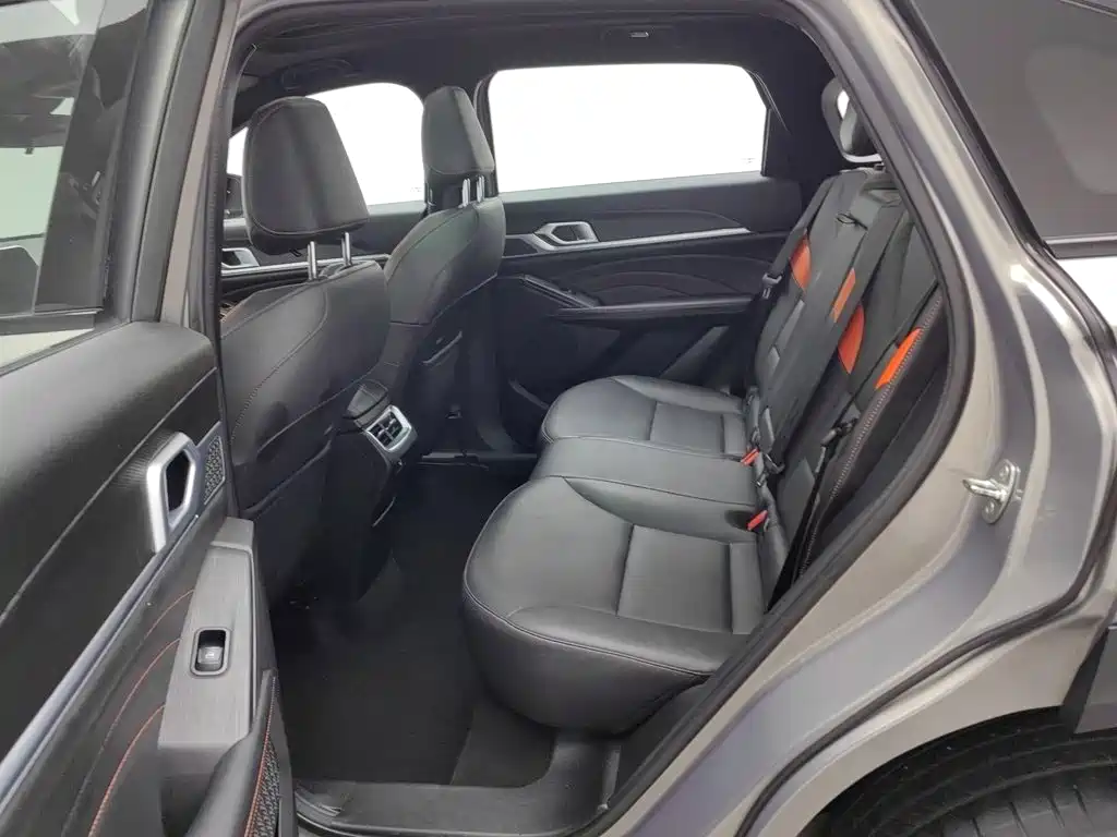 Haval Shenshou — миниатюра 15