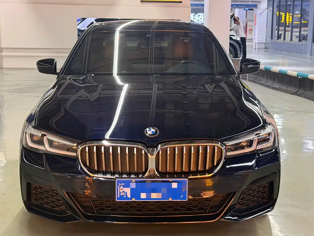 BMW 5 Series (Import) — миниатюра 2