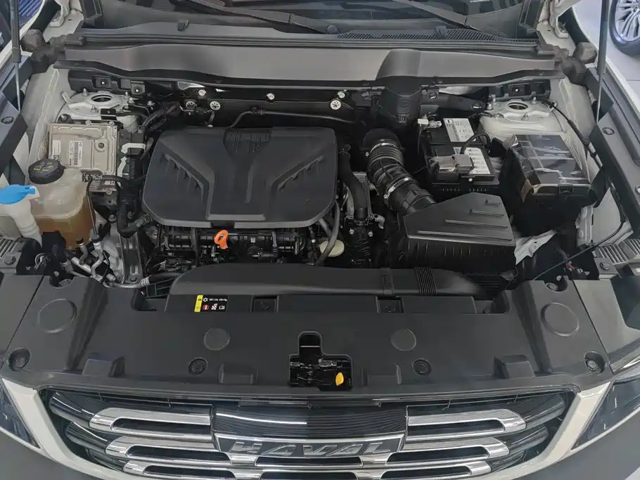 Haval Big Dog — миниатюра 10