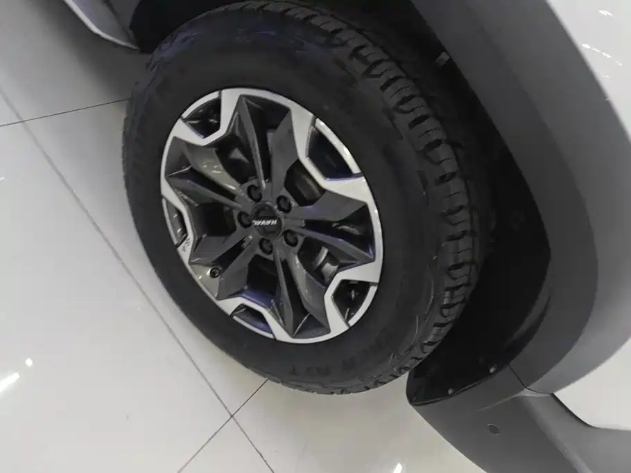 Haval Big Dog — миниатюра 6