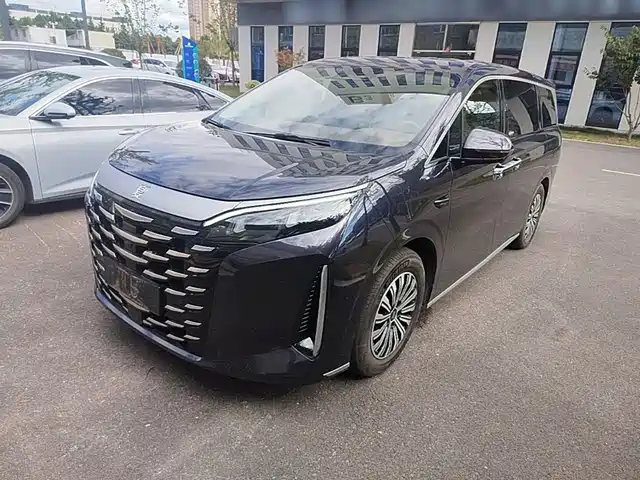 2025 BYD