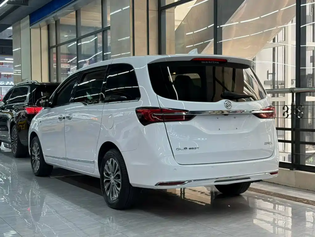 Buick GL8 — миниатюра 11