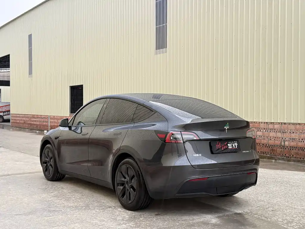 Tesla Model Y — миниатюра 4