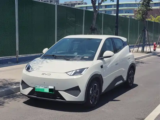 2025 BYD Seagull