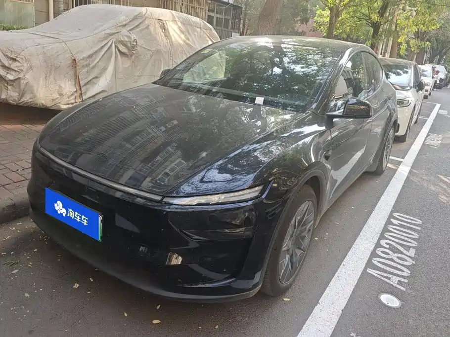 Tesla Model Y L