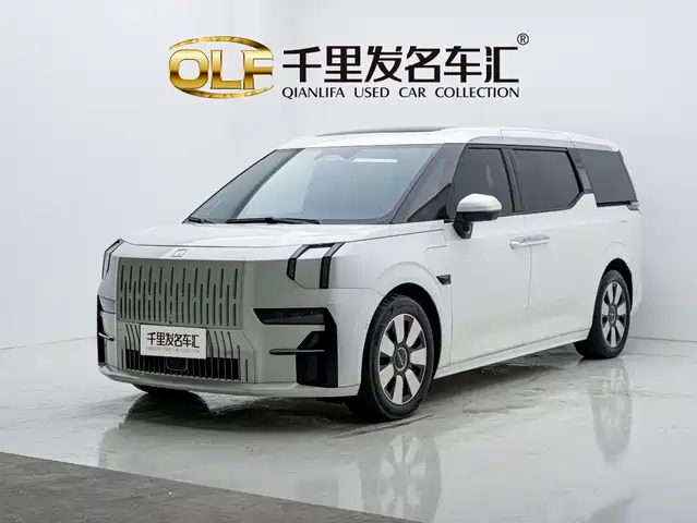 Zeekr 009 2022