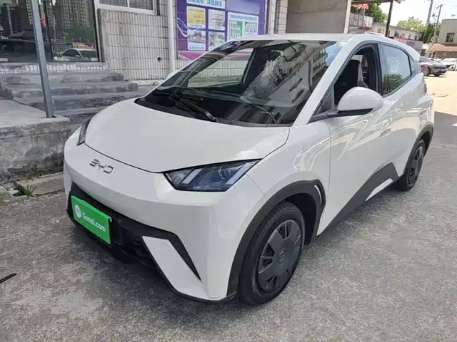 2024 BYD Seagull