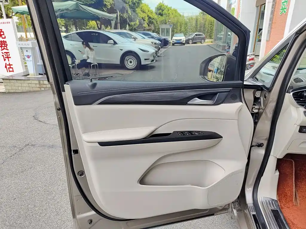 Buick GL8 ES LandKing 653T Comfort Type, фото 6