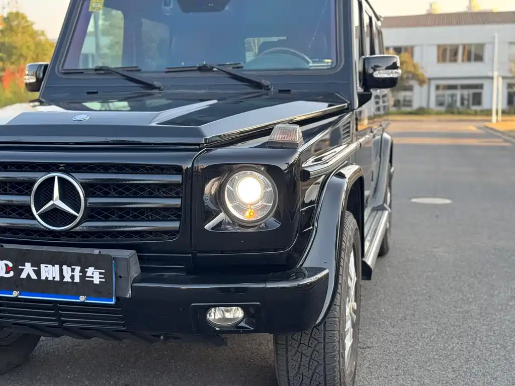 Mercedes-Benz G-Class G 2010 G 500