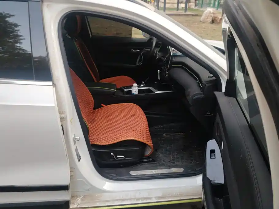 Haval Chitu — миниатюра 8