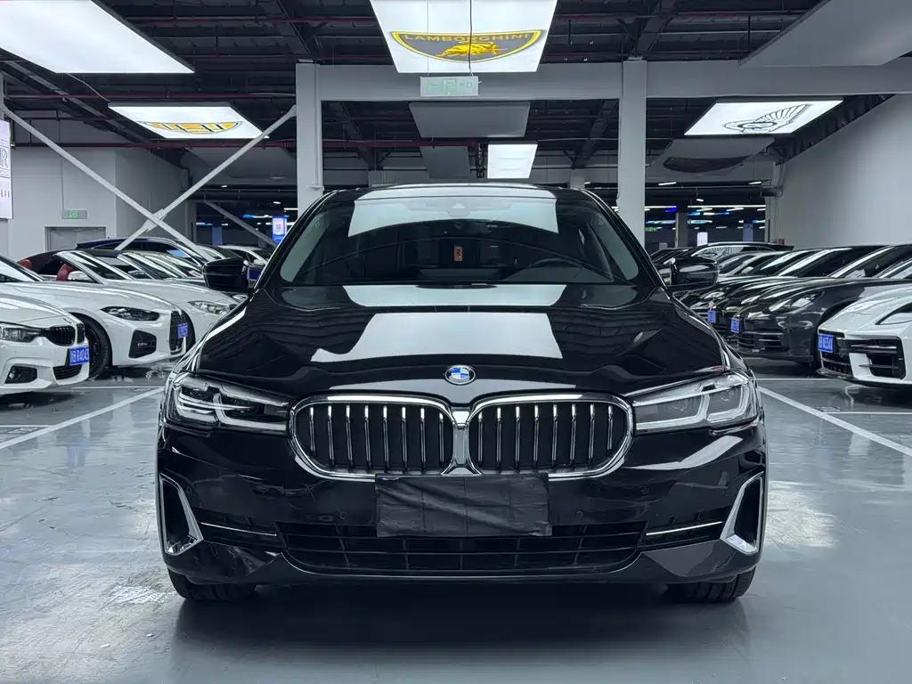BMW 5 Series 5 2022 530Li Lead Luxury