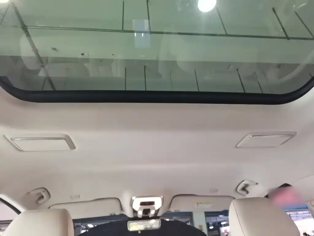 Hongqi Hongqi HQ9 — миниатюра 18